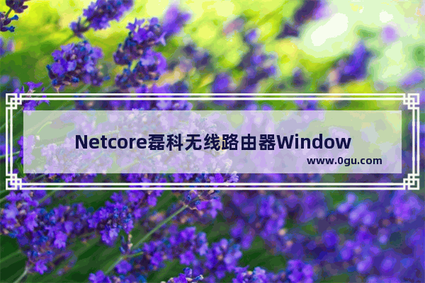 Netcore磊科无线路由器Windows 8设置上网