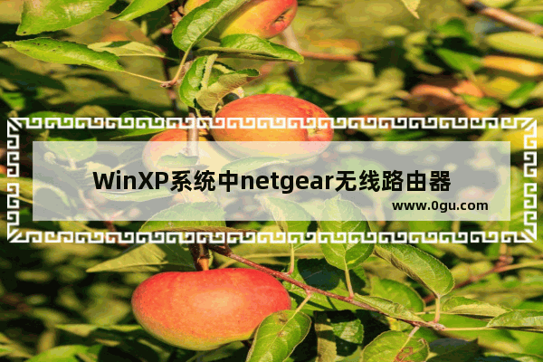 WinXP系统中netgear无线路由器设置方法