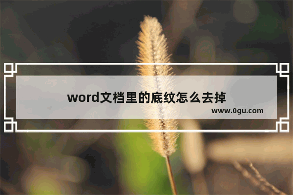 word文档里的底纹怎么去掉