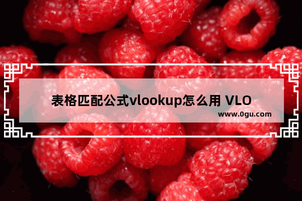 表格匹配公式vlookup怎么用 VLOOKUP函数比对表格数据