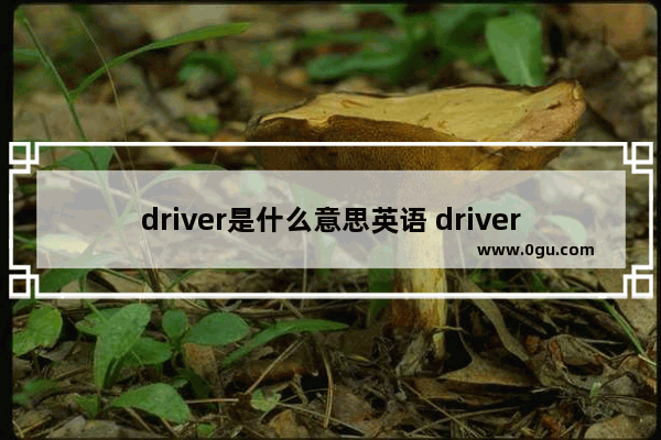 driver是什么意思英语 driver中文翻译