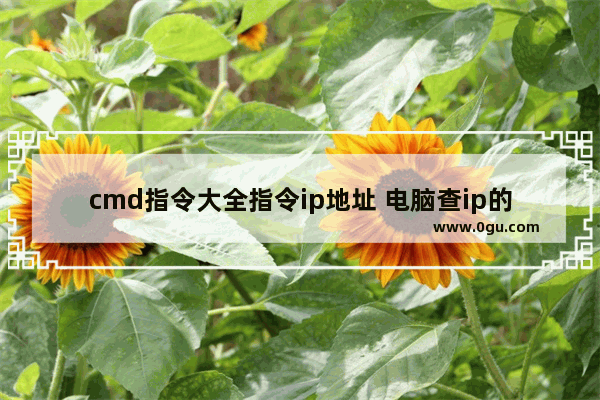 cmd指令大全指令ip地址 电脑查ip的cmd命令