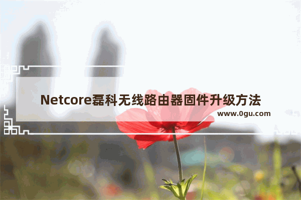 Netcore磊科无线路由器固件升级方法