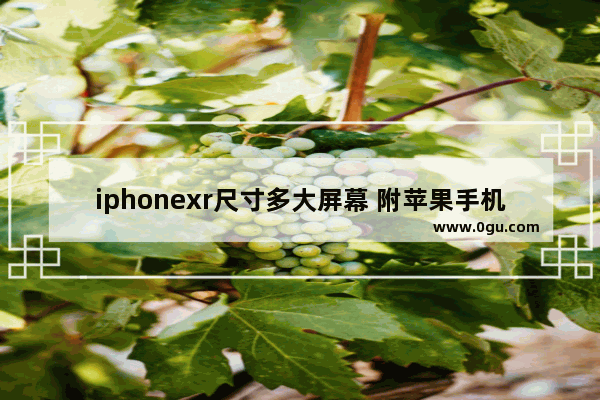 iphonexr尺寸多大屏幕 附苹果手机尺寸一览表