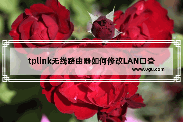 tplink无线路由器如何修改LAN口登录IP