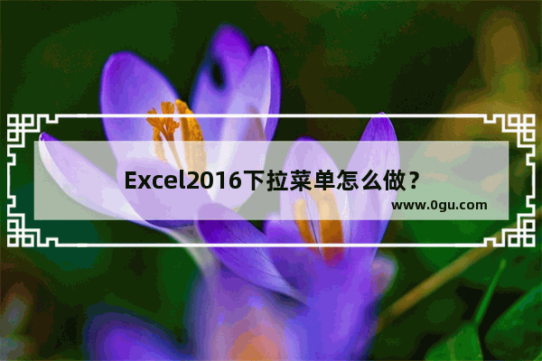 Excel2016下拉菜单怎么做？