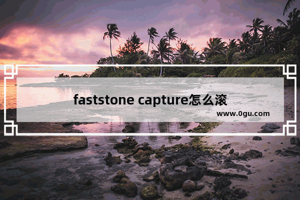 faststone capture怎么滚动截屏 faststone capture滚动截长图的方法