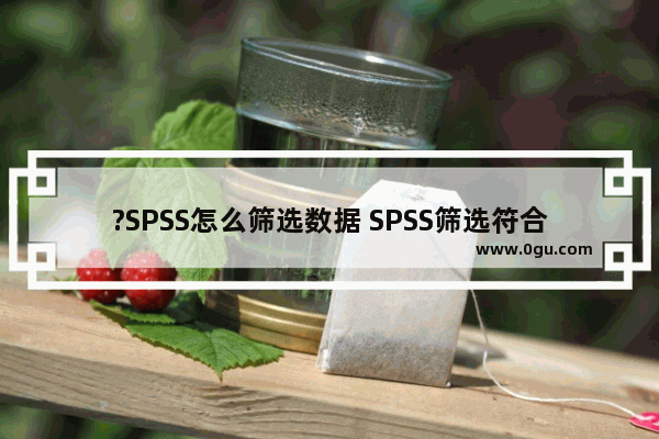 ?SPSS怎么筛选数据 SPSS筛选符合条件的数据的方法教程