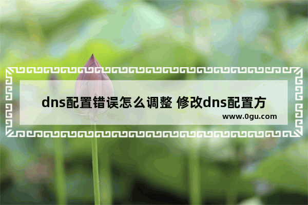 dns配置错误怎么调整 修改dns配置方法