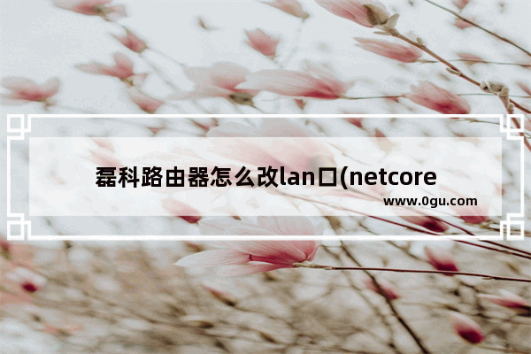 磊科路由器怎么改lan口(netcore磊科无线路由器设置)