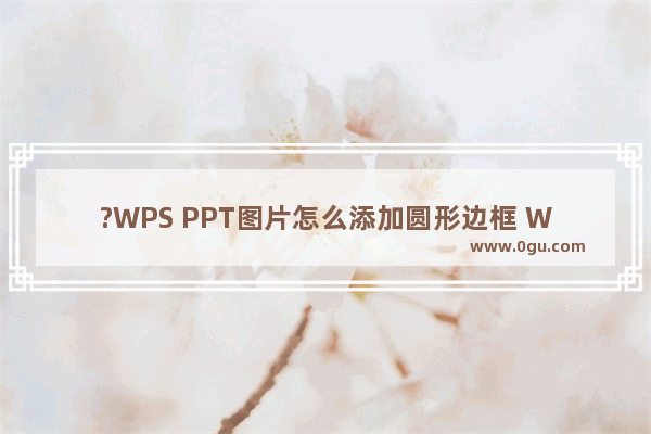 ?WPS PPT图片怎么添加圆形边框 WPS PPT制作圆形边框的图片效果的方法教程