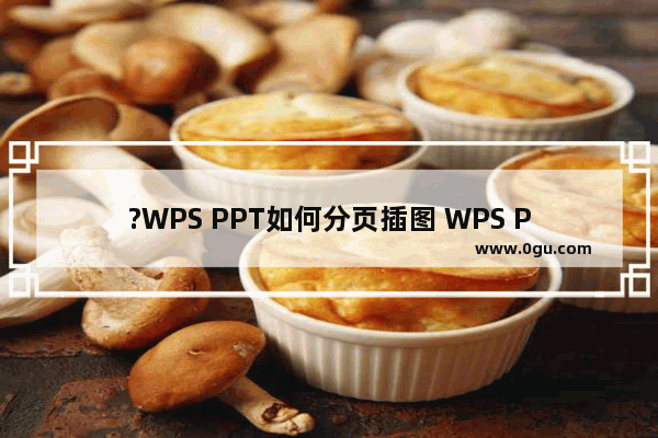 ?WPS PPT如何分页插图 WPS PPT中实现分页插图的方法教程