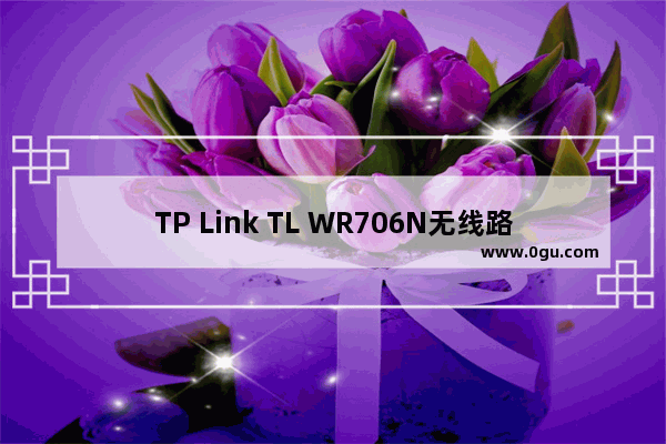 TP Link TL WR706N无线路由器Router模式设置上网