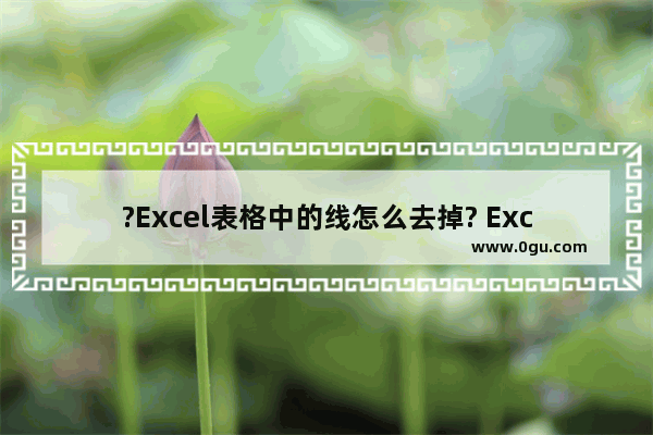 ?Excel表格中的线怎么去掉? Excel去掉表格中的线的方法教程