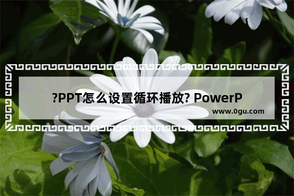 ?PPT怎么设置循环播放? PowerPoint演示文稿设置循环播放的方法教程