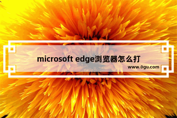 microsoft edge浏览器怎么打开edge栏 Edge浏览器打开Edge栏的方法