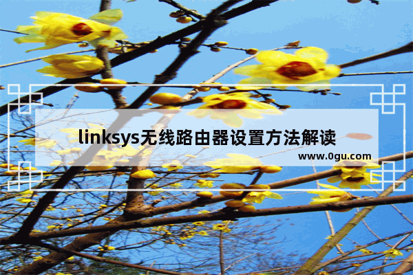 linksys无线路由器设置方法解读