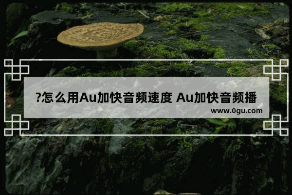 ?怎么用Au加快音频速度 Au加快音频播放速度的方法教程