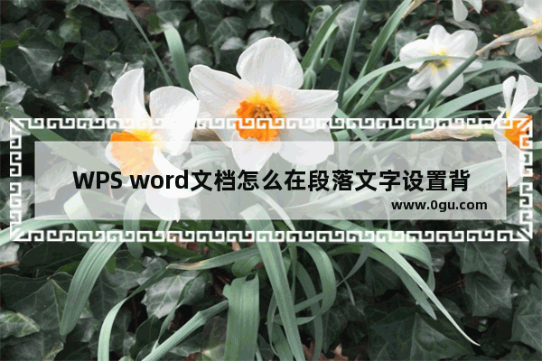 WPS word文档怎么在段落文字设置背景颜色 WPS word文档给段落文字设置背景颜色的方法