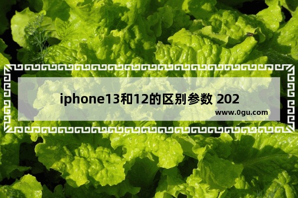 iphone13和12的区别参数 2023年最建议买的手机