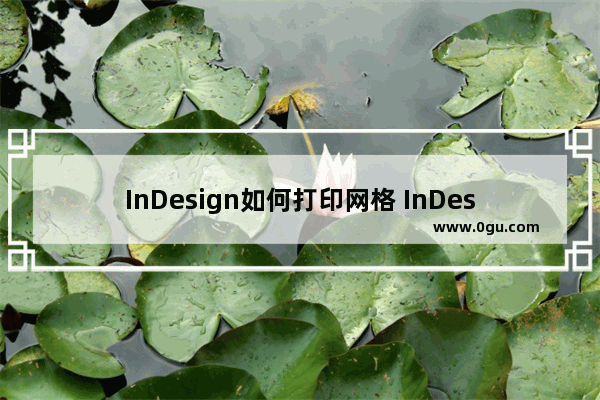 InDesign如何打印网格 InDesign打印网格的方法