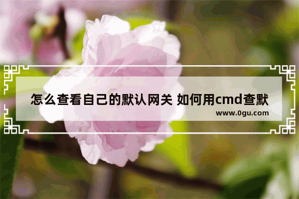 怎么查看自己的默认网关 如何用cmd查默认网关