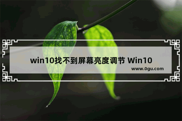 win10找不到屏幕亮度调节 Win10 无法调整亮度的解决方法