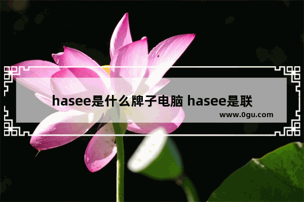 hasee是什么牌子电脑 hasee是联想的吗