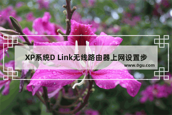 XP系统D Link无线路由器上网设置步骤