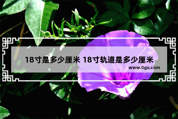 18寸是多少厘米 18寸轨道是多少厘米