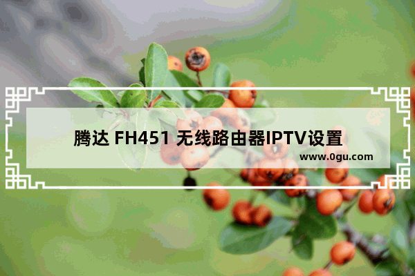 腾达 FH451 无线路由器IPTV设置