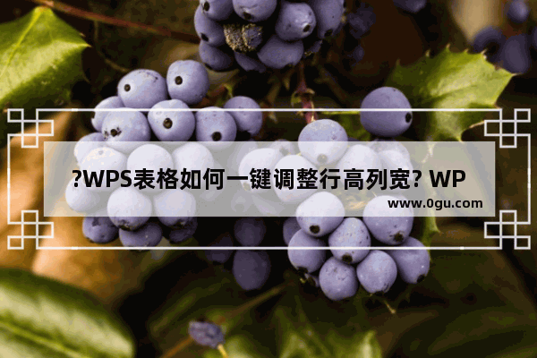 ?WPS表格如何一键调整行高列宽? WPS表格电脑版一键调整行高列宽的方法教程