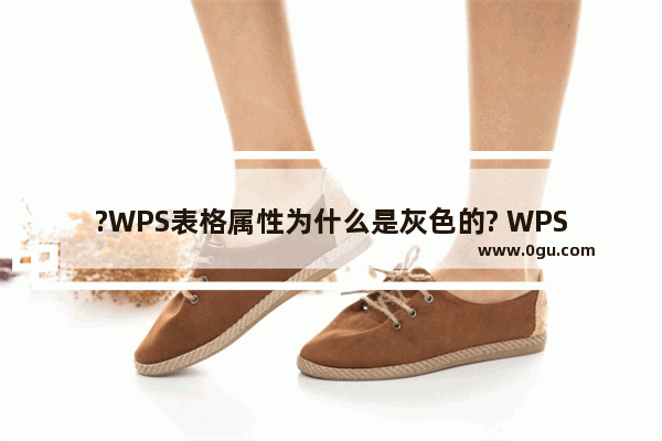 ?WPS表格属性为什么是灰色的? WPS表格电脑版解决表格属性是灰色无法使用的方法教程