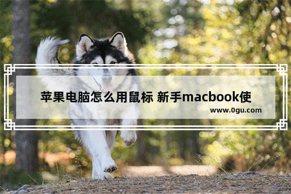 苹果电脑怎么用鼠标 新手macbook使用入门