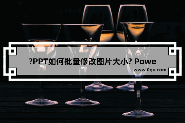 ?PPT如何批量修改图片大小? PowerPoint演示文稿批量修改图片大小的方法教程