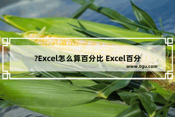 ?Excel怎么算百分比 Excel百分比的计算方法