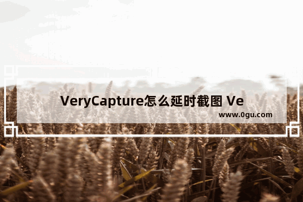 VeryCapture怎么延时截图 VeryCapture延时截图的使用方法