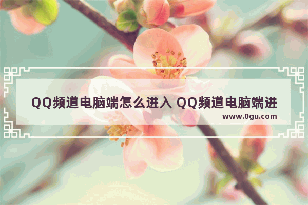 QQ频道电脑端怎么进入 QQ频道电脑端进入的方法