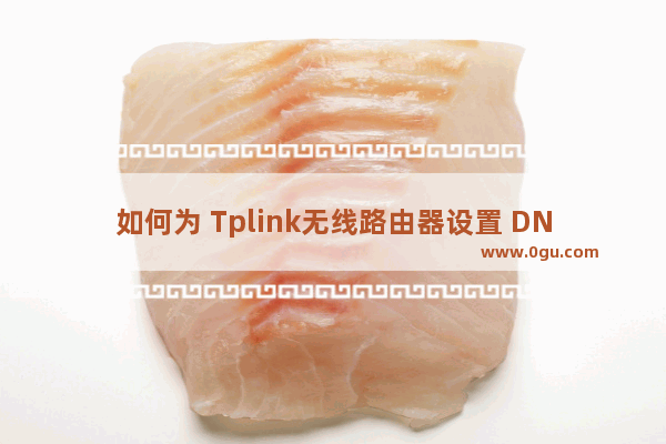 如何为 Tplink无线路由器设置 DNS 服务器地址？