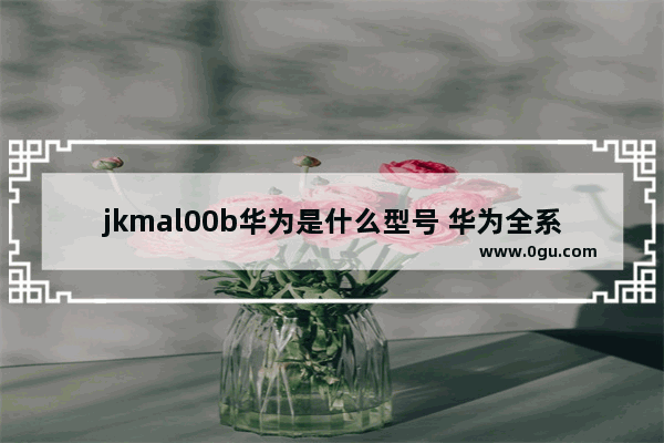 jkmal00b华为是什么型号 华为全系列机型型号对照表