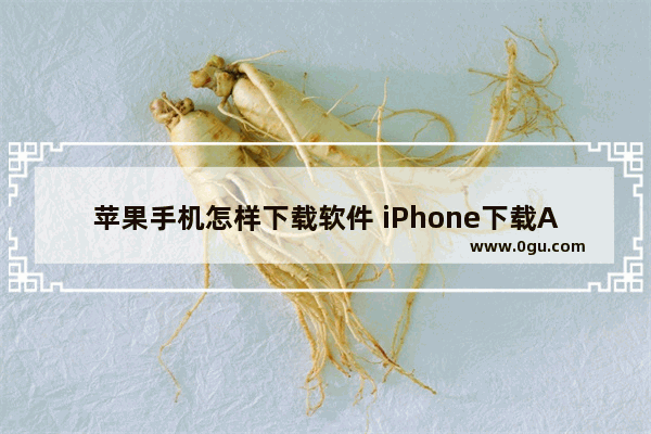 苹果手机怎样下载软件 iPhone下载APP的方法