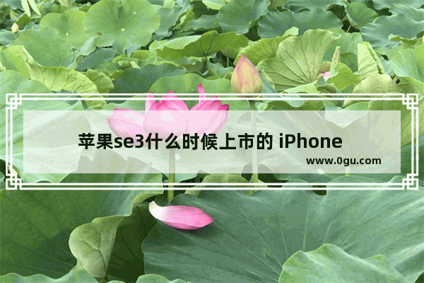 苹果se3什么时候上市的 iPhone SE 3正式开售时间