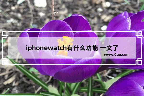 iphonewatch有什么功能 一文了解苹果手表的功能