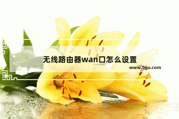 无线路由器wan口怎么设置