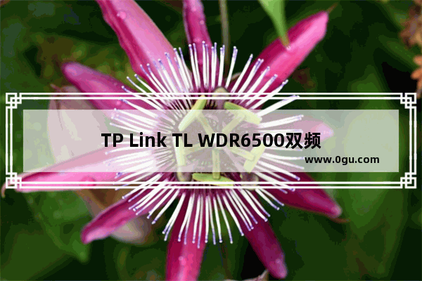 TP Link TL WDR6500双频无线路由器的安装步骤网址