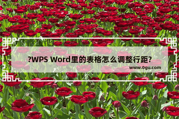 ?WPS Word里的表格怎么调整行距? WPS文档调整表格行距的方法教程