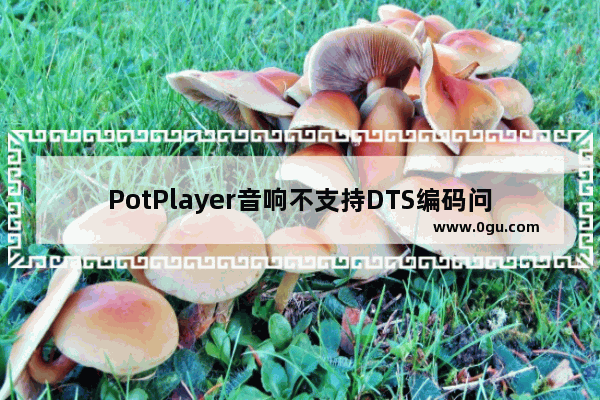 PotPlayer音响不支持DTS编码问题怎么办 PotPlayer解决音响不支持DTS编码问题的方法