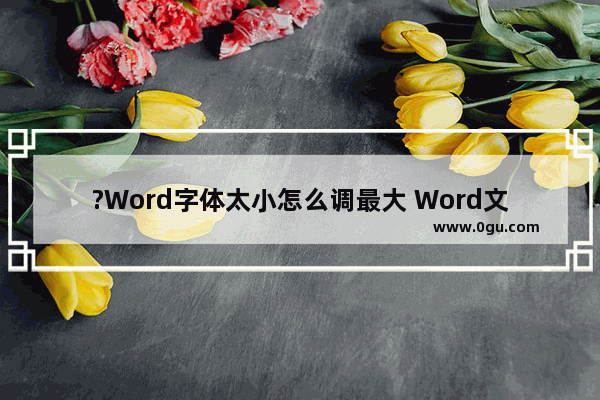 ?Word字体太小怎么调最大 Word文档调大字体的方法教程