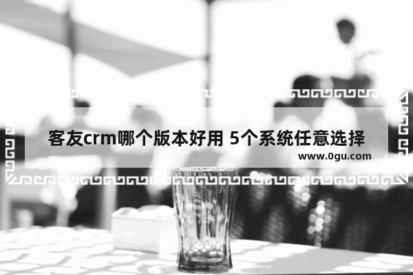 客友crm哪个版本好用 5个系统任意选择