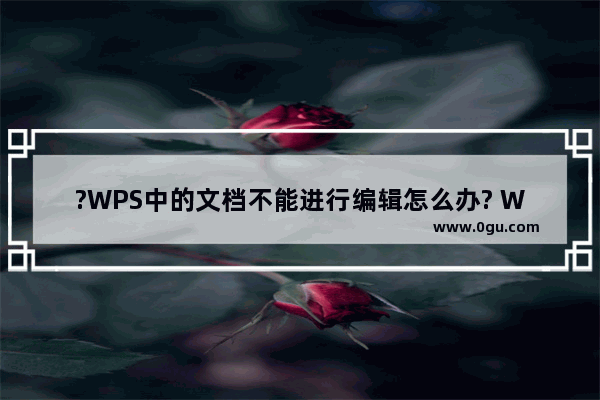 ?WPS中的文档不能进行编辑怎么办? WPS文档电脑版解决不能编辑的方法教程